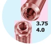 Master Screw/Porous RD (4.1) - 4