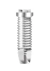 Master Screw/Porous RD (4.1) - 2