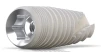 Paltop Advanced classic Passive Apex sp - 3