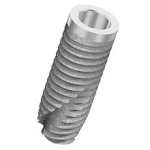 Bone System 2 P (4.1)