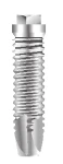 Master Screw/Porous SD (3.3)