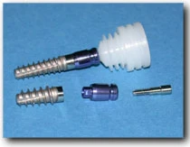 Evolution 2000 (5.0)