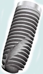 Bone System 2 P (5.0)