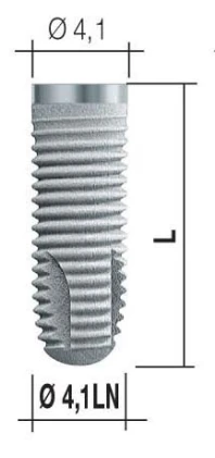 Bone System 2 LN (4.1)