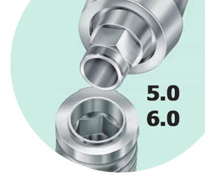 Master Connect Cone WD (5.0,6.0)