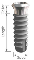 Apolonia Internal Straight Type (4.8)