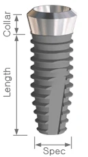 Apolonia Internal Tapered Type (4.8)