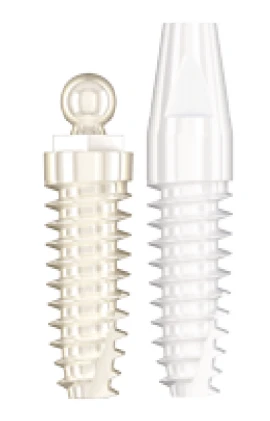 Denti Circonium (DC)