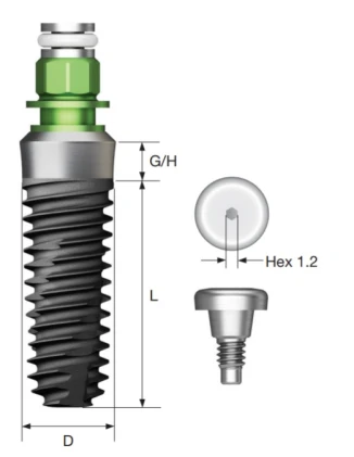 SS III SA Regular (4.8)