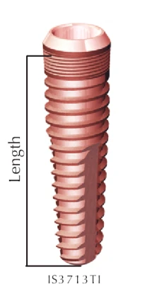 Internal Connection SQ (3.3)