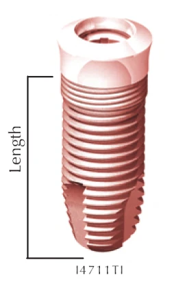 Wide Platform Straight Body (5.5)