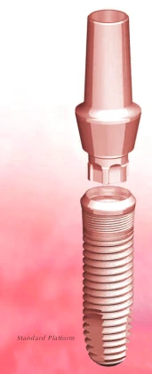 Wide Platform Conic Body (5.5)