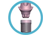 Genesis Straight (4.5)