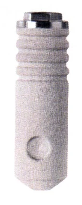 Sustain Cylinder External Hex WD (5.0)