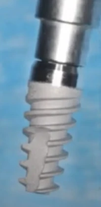 Paltop Active Implant PAI sp