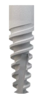 Paltop Active Implant PAI TC np