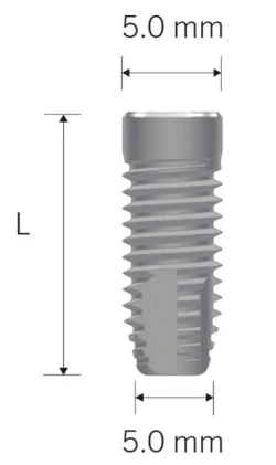 PrimaConnex Straight 5.0 (WD)