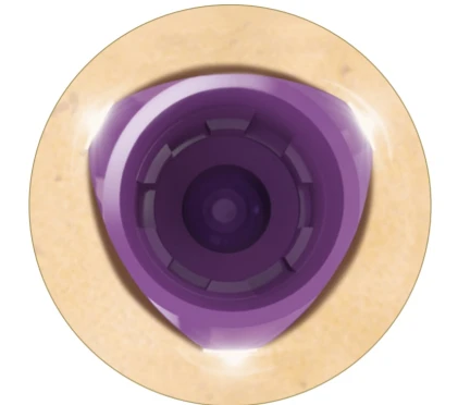 V3 (Standard Platform)