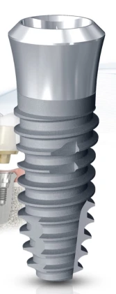 IT III active Regular Neck