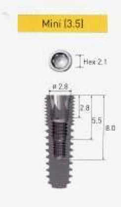 GS (HG) III Mini (3.5)