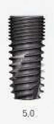 GS (HG) III Standard (5.0)