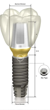 GS (HG) II Mini (3.5)