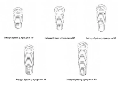 Inttegra System RP (4.1)