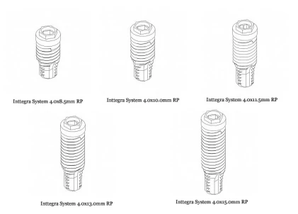 Inttegra System RP (4.1)