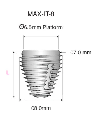 Max IT 8 (6.5)