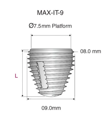 Max IT 9 (6.5,7.5)