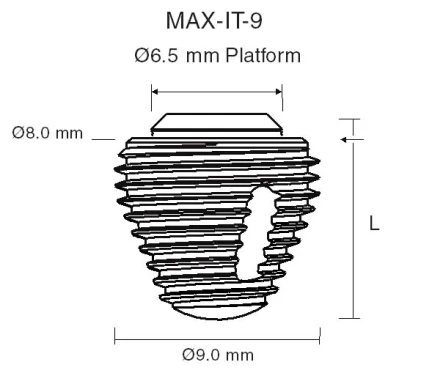 Max IT 9 (6.5,7.5)