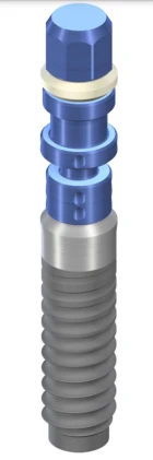 Standard Plus (SP) Narrow Neck CrossFit (NNC)