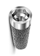 Endopore Internal Hex (4.1)