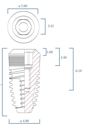 Anatomical Extra Large