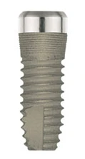 Cylindrical Mini Short Neck