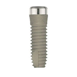 Cylindrical Mini Short Neck