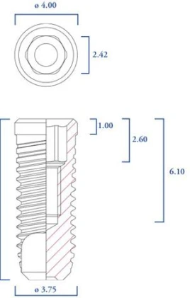 Cylindrical Short Neck