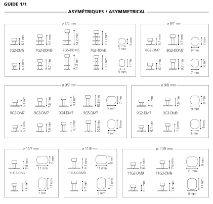 Diskimplant Monobloc Asymetrical