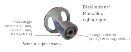 Diskimplant Monobloc Cylindrical
