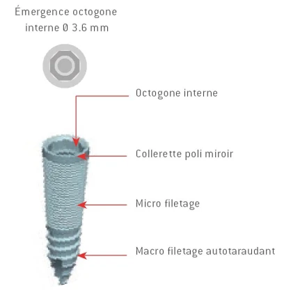 Fratex Internal Octagon
