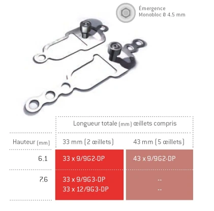 Diskimplant Monobloc A Plaque