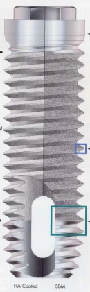Taper-Lock Screw (4.1) (Paragon)