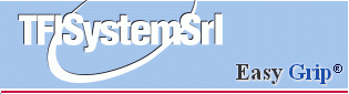 TFI System Srl